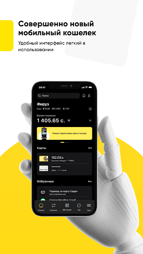 Sarvat Wallet Screen 2