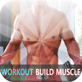 90 Day Workout Build Muscle icon