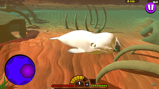 Feed and Grow Fish Shark