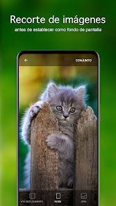 Imágen 4 Fondos de pantalla con gatitos android