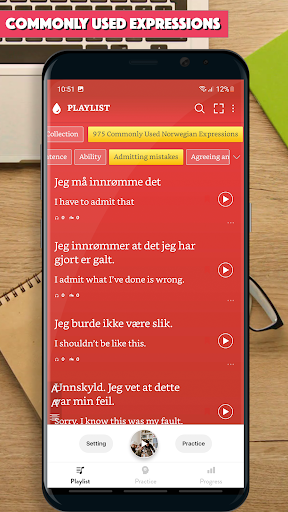 Norwegian Sentence Master Screen 2