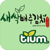 새싹배추김치 티움 - imtium icon
