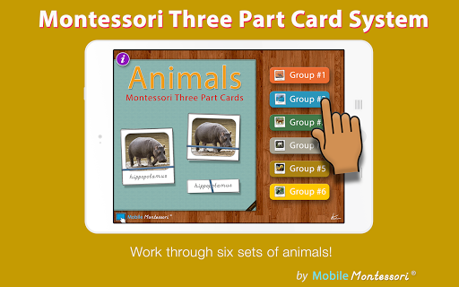 Montessori Three Part Cards -