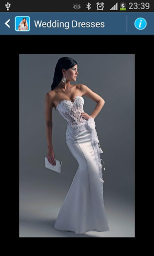Wedding Dresses Screen 2