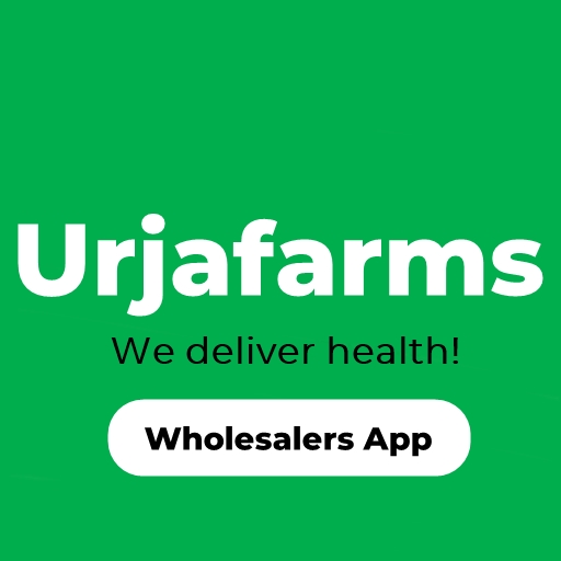 Organic Vegetables Grocery Wh