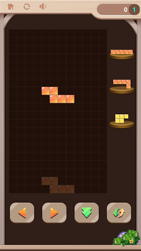Block D - Block Puzzle Screen 2