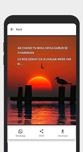 Full Screen Video Status - X