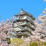 Desain Rumah Jepang icon
