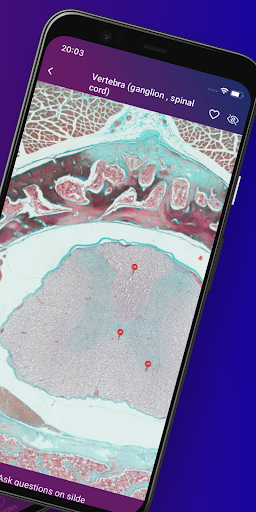 Ehistolab - Histology Slides Screen 2