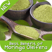 Best Benefit Moringa Oleifera