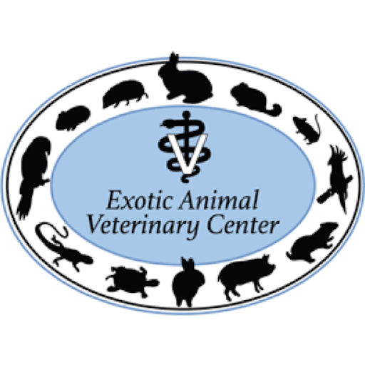 EAVC logo