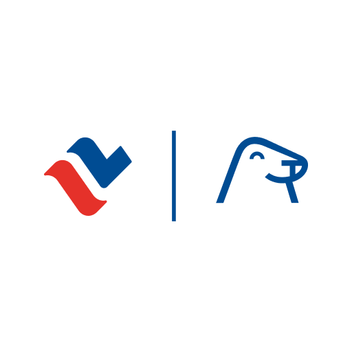 Tallink & Silja Line  Icon