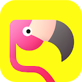 Flamingo-More Snapchat Friends icon