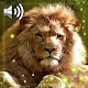 León Fondos Pantalla Animados Descarga en Windows