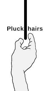 Pluck It: hairs and emotions Unknown