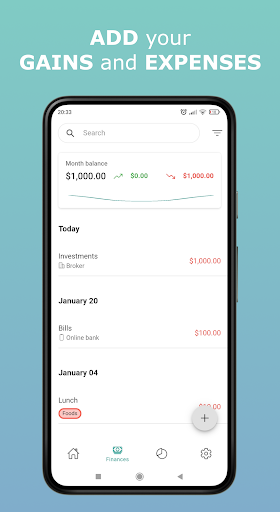 Ion Finances Screen 2