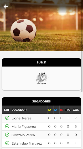 Liga San Javier Screen 2