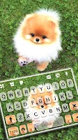 screenshot of Cute Puppy Pom Keyboard Background