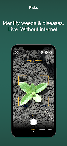 MagicScout Screen 2