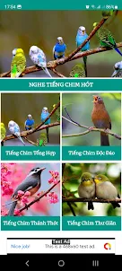 Nghe Tiếng Chim Hót | Chuông