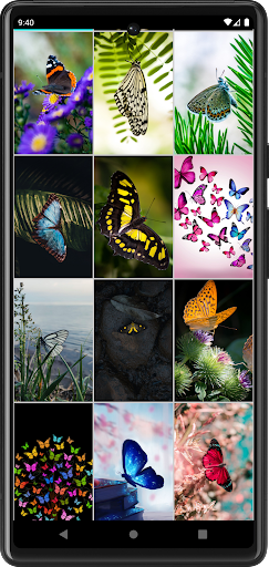 Butterfly Wallpapers Screen 3
