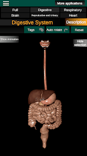 Internal Organs in 3D Anatomy Screenshot