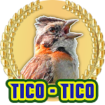 Cover Image of Télécharger Canto de TICO-TICO Grande 1.0.0 APK