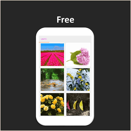 Color by Number - leaf Screen 2
