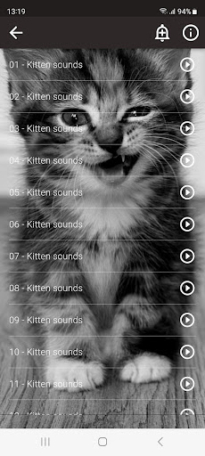Cat Sounds by Arsosa Network Inc.