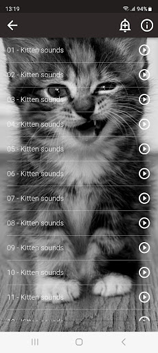 Cats sounds