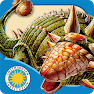 Get Ankylosaurus Fights Back for Android Aso Report