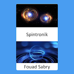 Obraz ikony: Spintronik: Von der Krebserkennung bis zur Speicherung von 1 TB Daten auf einer einseitigen Disc mit 3,5′′ Durchmesser