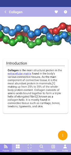 Cosmetic Chemistry HKBU Screen 2