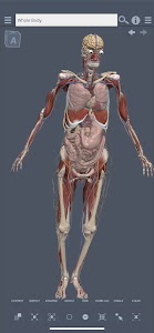 Primals 3D Whole body Unknown