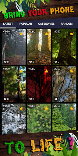 forest wallpaper Screen 2