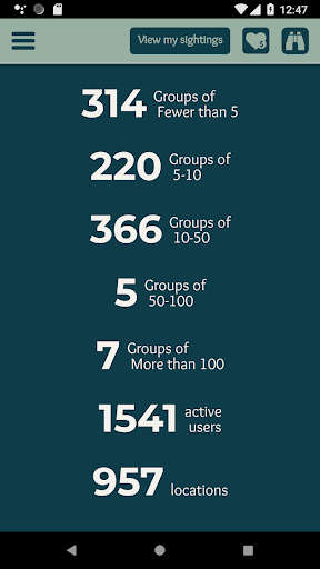 Chesapeake Dolphin Watch