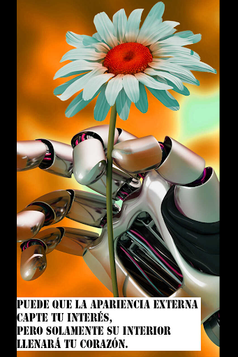 Imágenes de amor hermosas