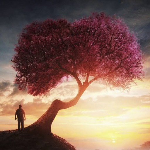 Relaxing wallpapers logo