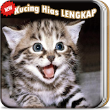 Aneka Kucing Hias LENGKAP icon