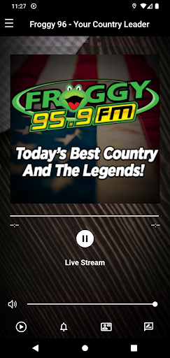 Froggy 96 Online Screen 2