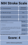 NIH Stroke Scale Screenshot