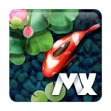 Koi Pond MXHome Theme icon