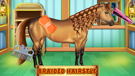 screenshot of Horse Hair Salon