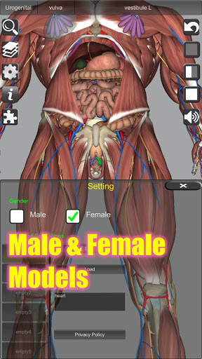 3D Anatomy - Medical - apps