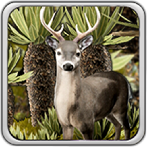 CAR RealidadAumentada