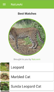 NatureAi: Nature Identification Paid Apk – Nature Scanner 2