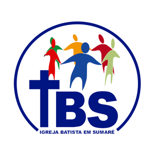 IBS logo