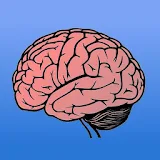 Memory Trainer Brain Challenge icon