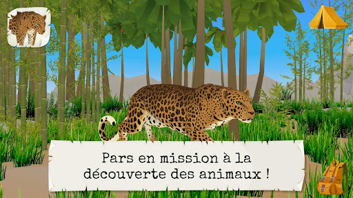 Aperçu de l'application