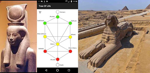Tree Of Life - Apps on Google Play